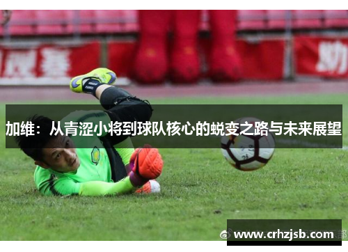 加维：从青涩小将到球队核心的蜕变之路与未来展望